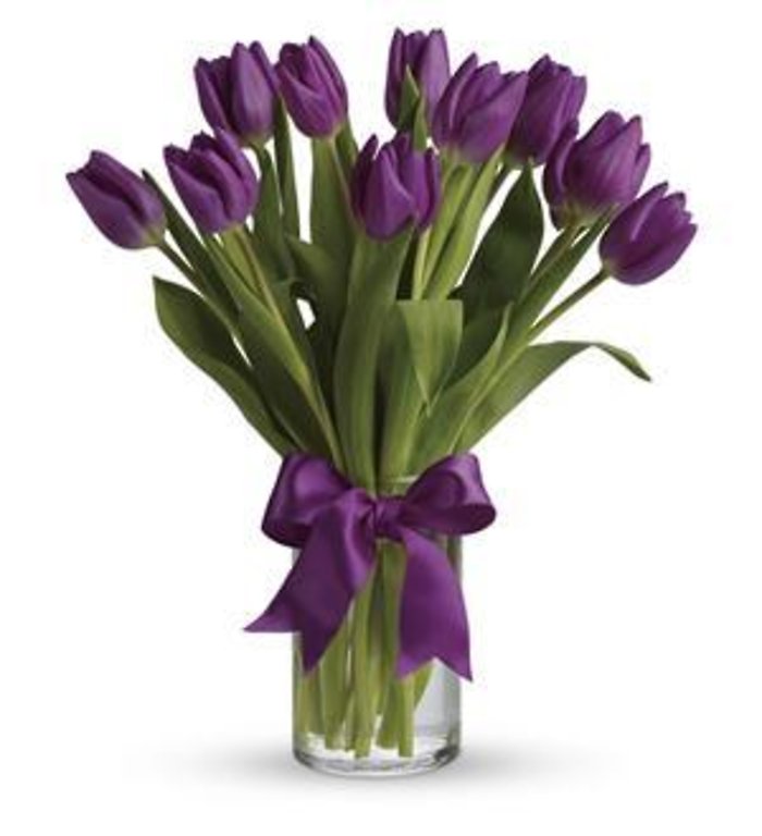 Ten Purple Tulips