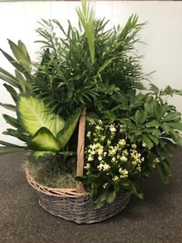 Extremely Large Garden Basket