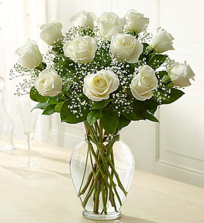 One DOZEN ROSES WHITE