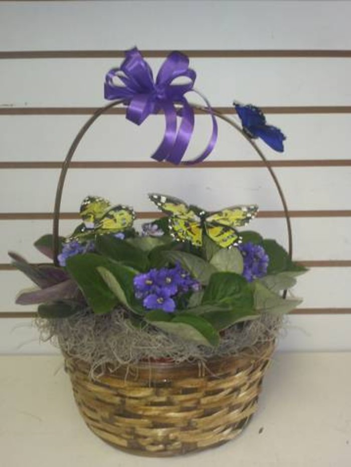 Butterflies & Violets Basket