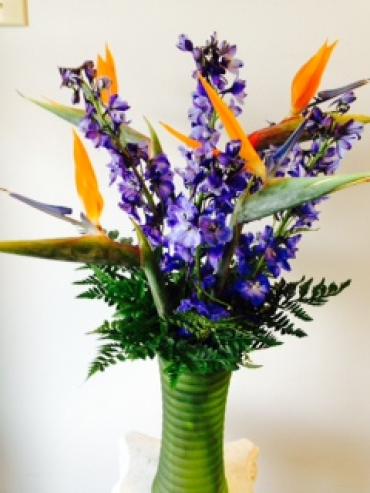 Birds of Paradise & Delphinium